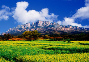 廬山,文化,中國,名山,世界